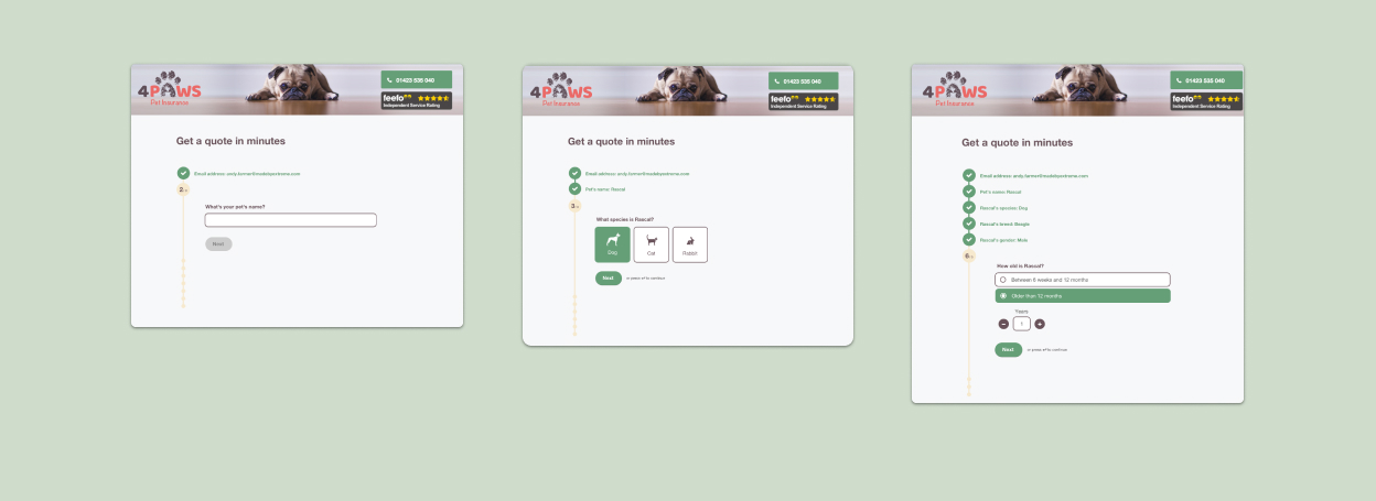 Design screenshots showing 1 form field per page