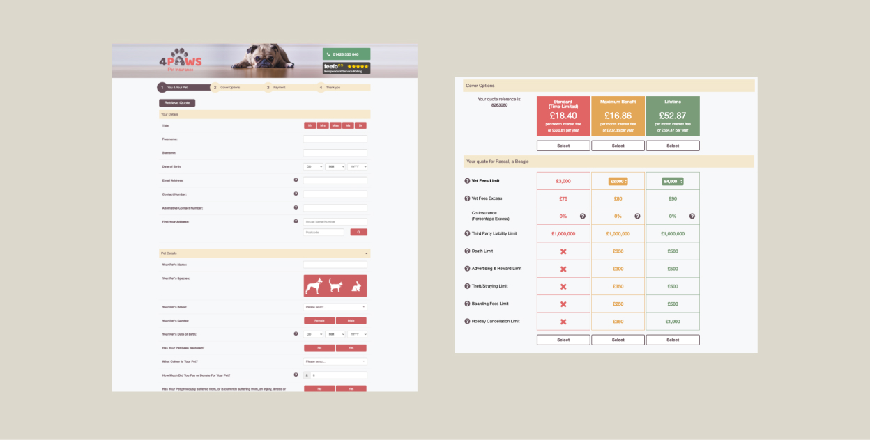 2 desktop screenshots of existing website design